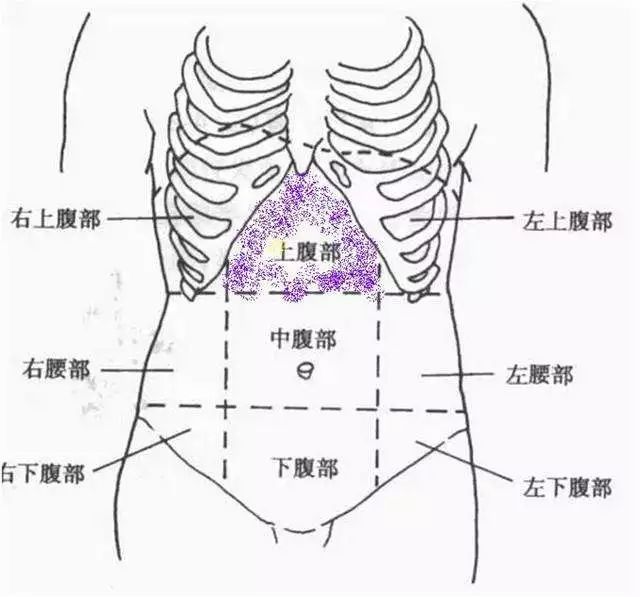 左胁下有压痛者,属肝寒;右胁下有压痛者,多实热或痰实;脐一旁疼痛而按