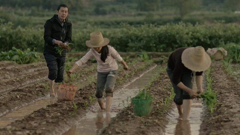 《父子情》亮相上海电影节展映 被评蕴含大时