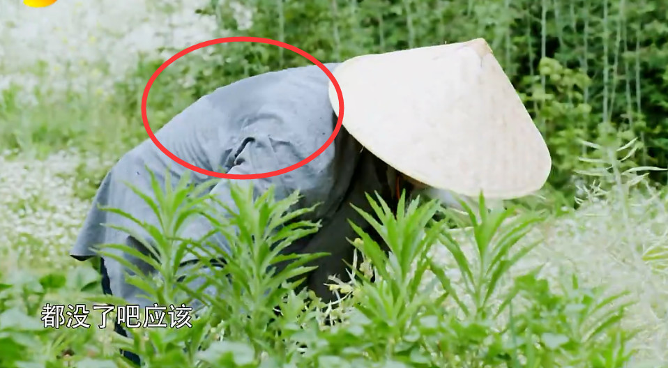 毛不易《向往2》低头疯狂干活,累得狼狈不堪,