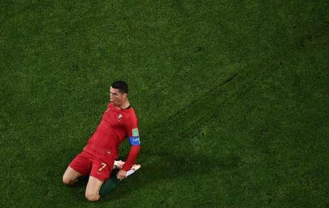 世界杯数据库,本届世界杯上有哪些球员和球队