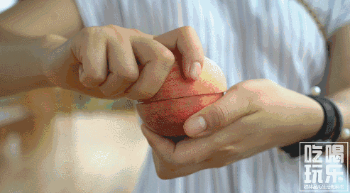 桃子熟了快来摘啦!从市区出发1.5小时可达的隐世桃园0