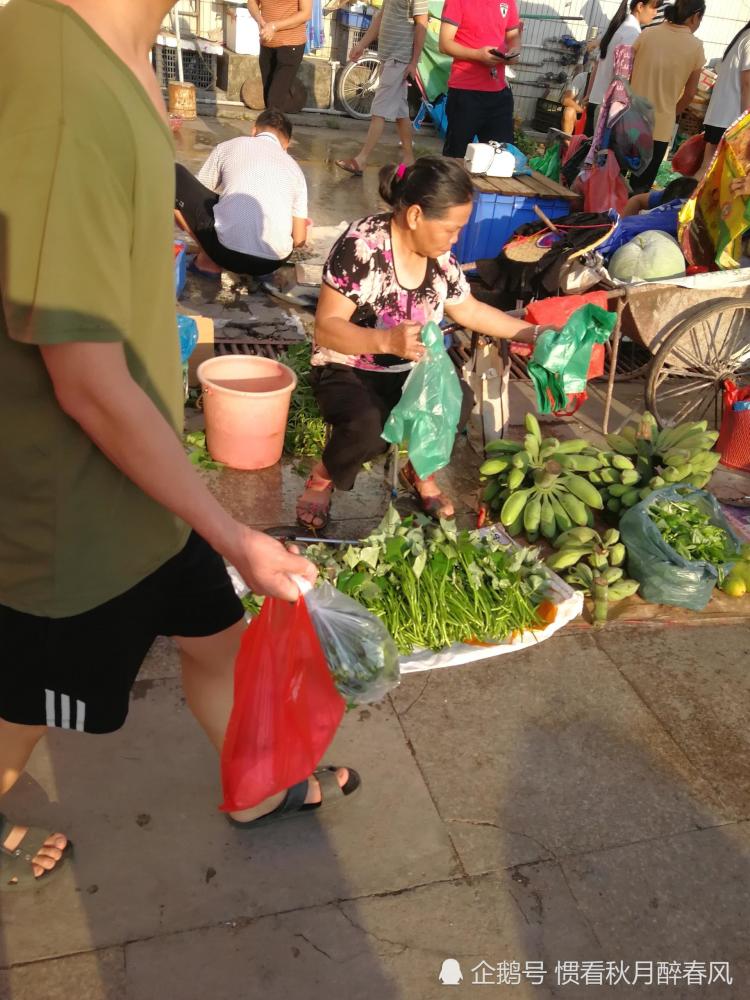 在东莞,这个地方的当地人天天还要去摆摊卖菜,比外地人都勤劳