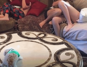 搞笑gif图:被口罩遮住凸显不出美啊!赶快脱了吧!