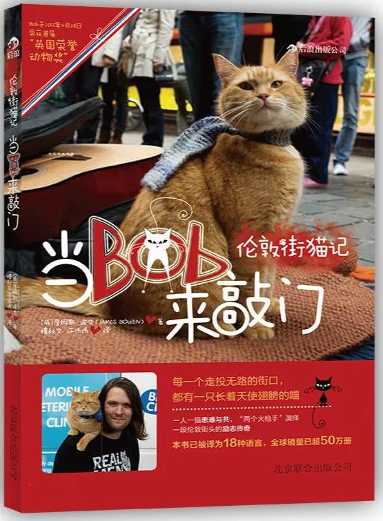 《当Bob来敲门》：猫不止治愈，更是确认过眼神的同行者｜书印