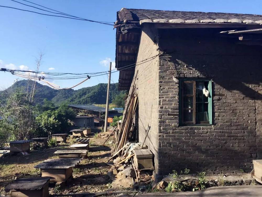 一个香港大学的硕士的心路历程