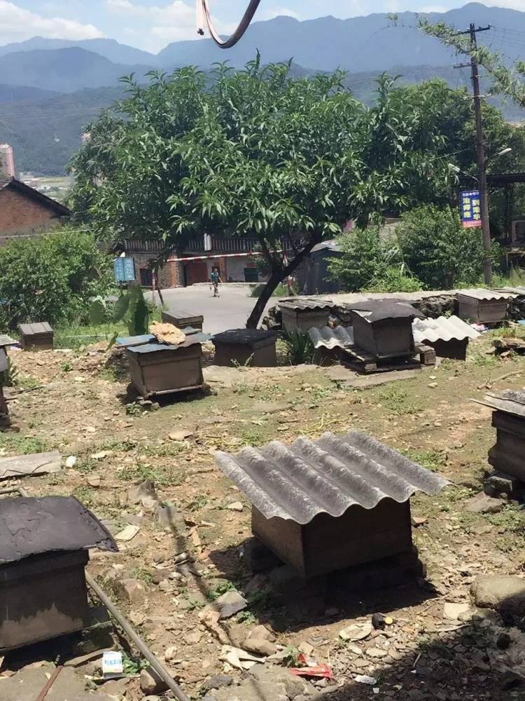 一个香港大学的硕士的心路历程