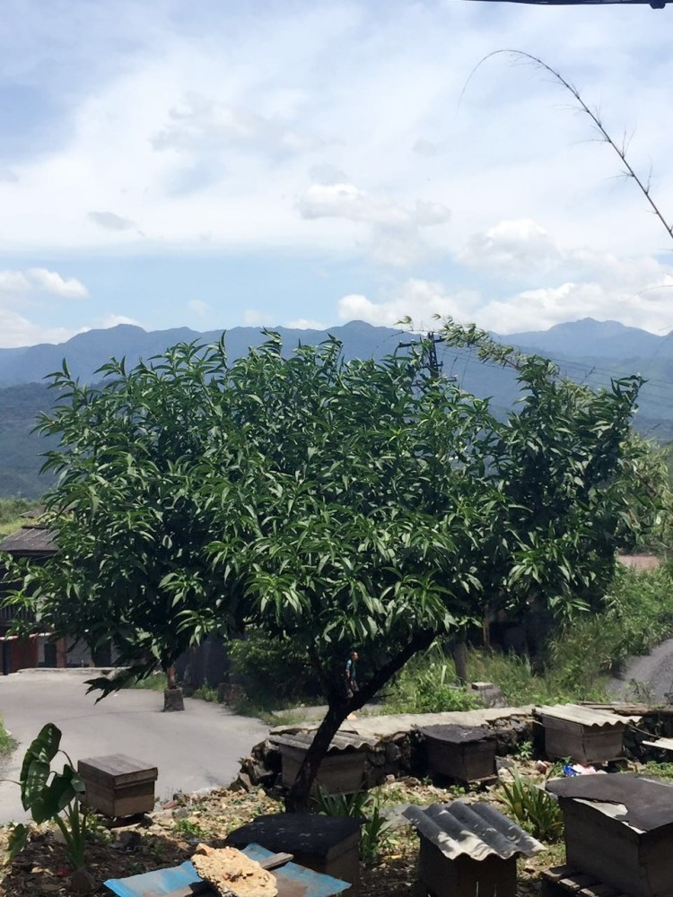 一个香港大学的硕士的心路历程