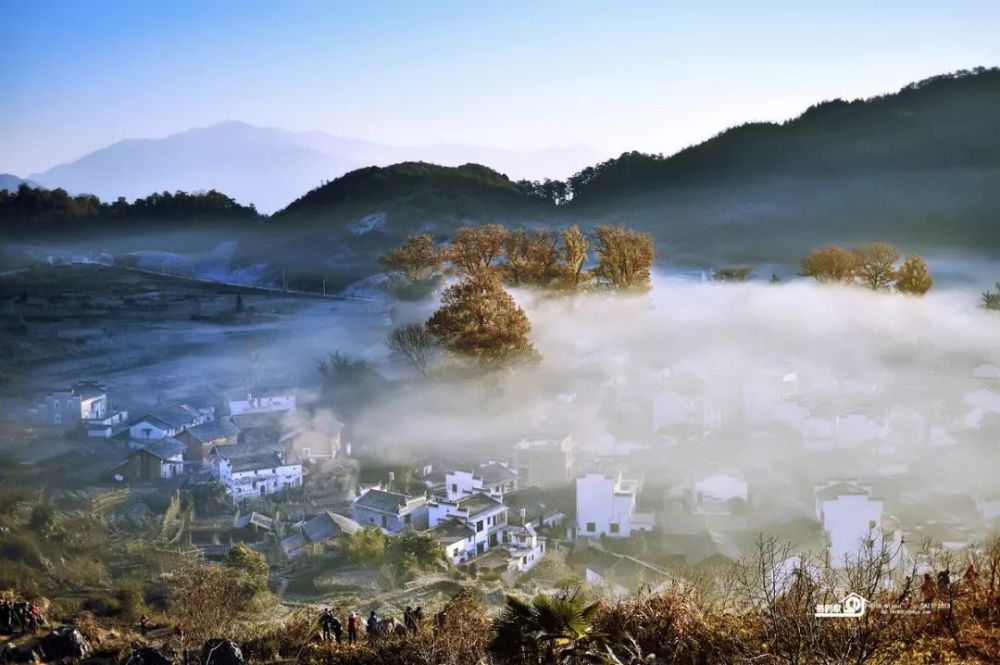 第五十期:《炊烟袅袅,爱却让它有了落地生根的重量》
