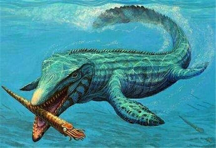 中生代的海洋霸主沧龙 从90cm蜥蜴进化成吃恐龙的怪物