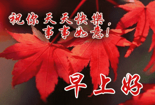 新的一天新的开始,早上好动态表情图片大全,早安祝福语及关心的话