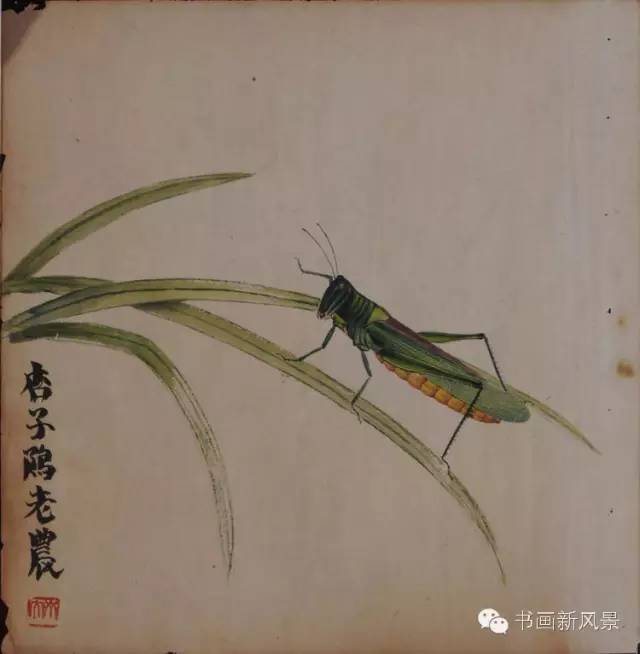 齐白石画的蝈蝈和蝗虫,不佩服不行!