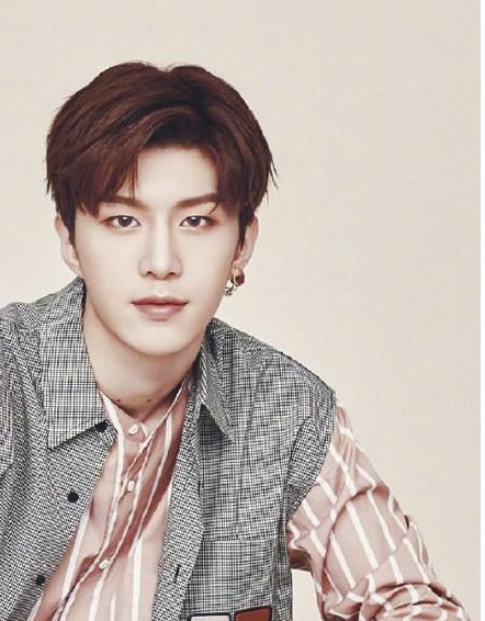 NPC成员的家庭背景,范丞丞豪门姐姐范冰冰,黄