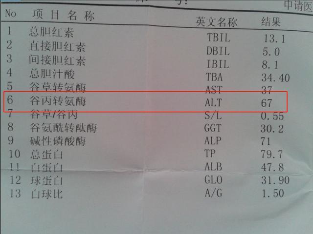 体检谷丙转氨酶偏高怎么办?5种植物快速降谷
