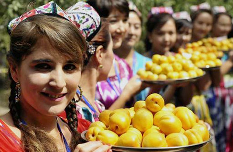 新疆库车小白杏丰收上市:每公斤12元,被内地客商订购一空