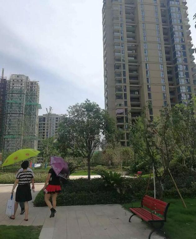 一个人竟能摇到5个号?一段微信群的对话,揭开