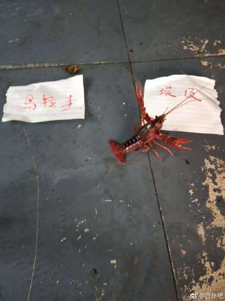 中科院网周易预测世界杯:每届世界杯都是一场