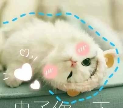 敲里吗表情包!真正的小仙女连骂人都要卖萌