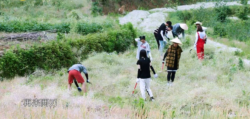 《向往的生活2》毛不易忙的汗流浃背,大伙都在