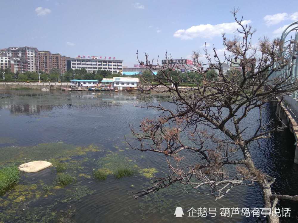 连山河公园是一个集城市防洪,生态环境,文化娱乐,休闲健身和旅游观光