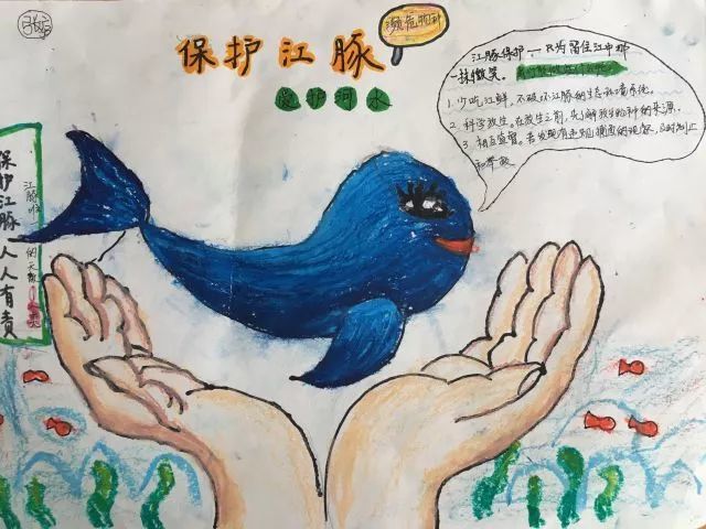 孩子们完成了一幅幅江豚绘画作品,一起动手创作宣传保护江豚的小场景