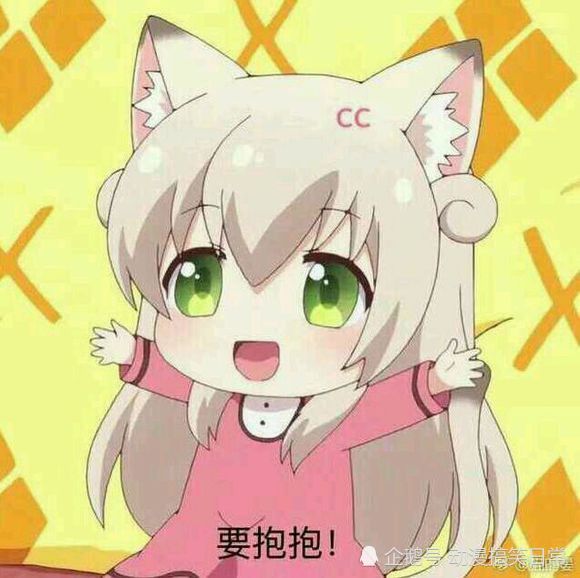 猫咪日常,动漫,表情包,萌妹,猫耳娘