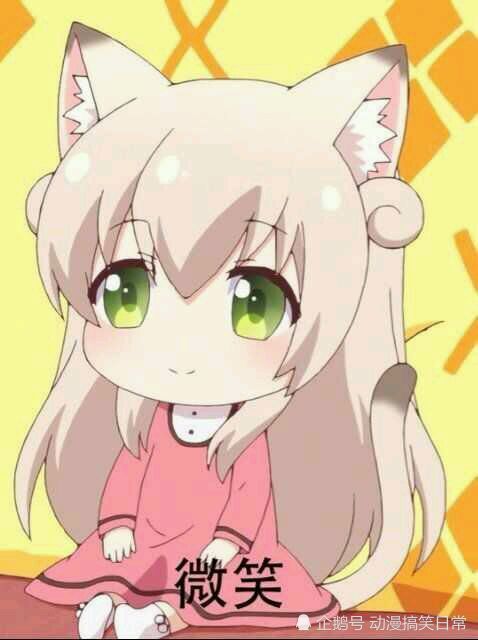 猫咪日常,动漫,表情包,萌妹,猫耳娘