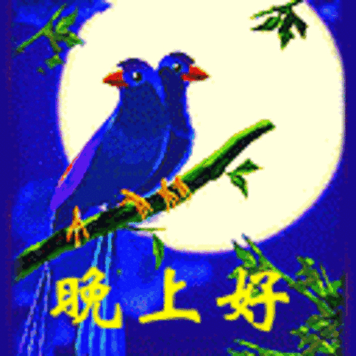 晚上好图片大全 晚上好祝福图片