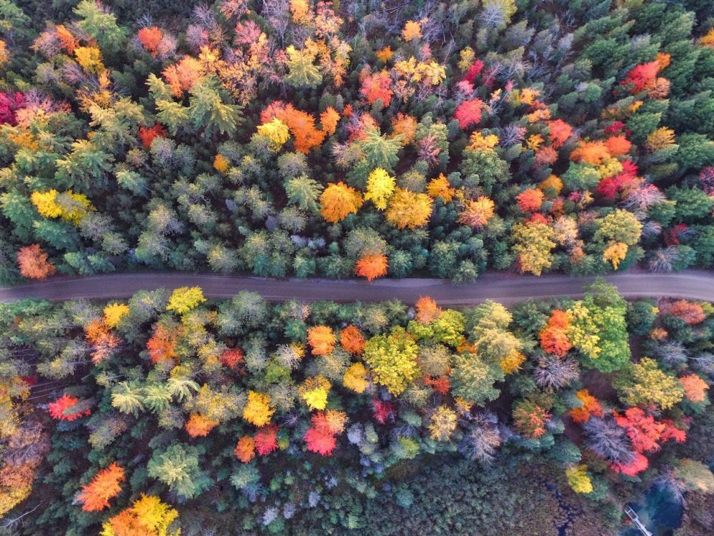 全世界最美的16张秋天的图片