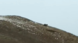 治多县有多少人口_治多县风景照片