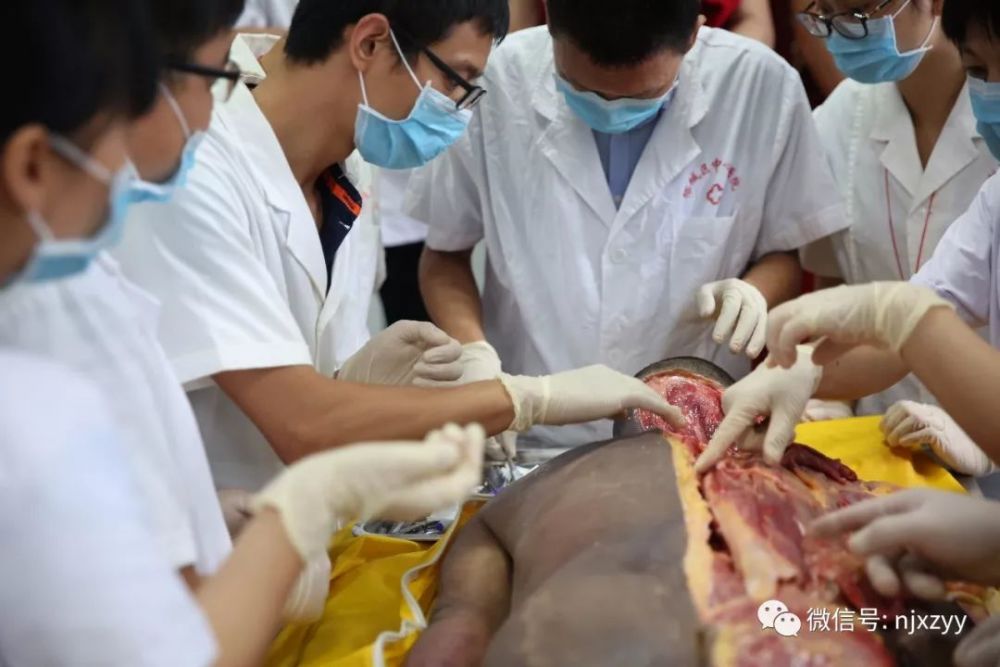 没有解剖学就没有医学——2019年6月3日全国第十二届深圳新鲜尸体解剖