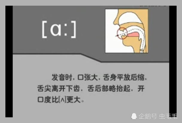 英语音标 12个单元音学习发音图解 看点快报