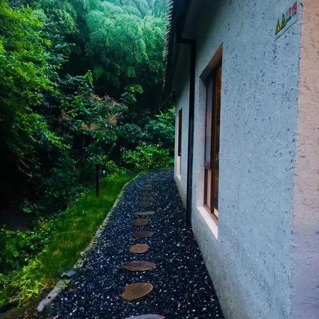 来安吉茅草屋听雨声,享受这家民宿里天然竹林山野生活