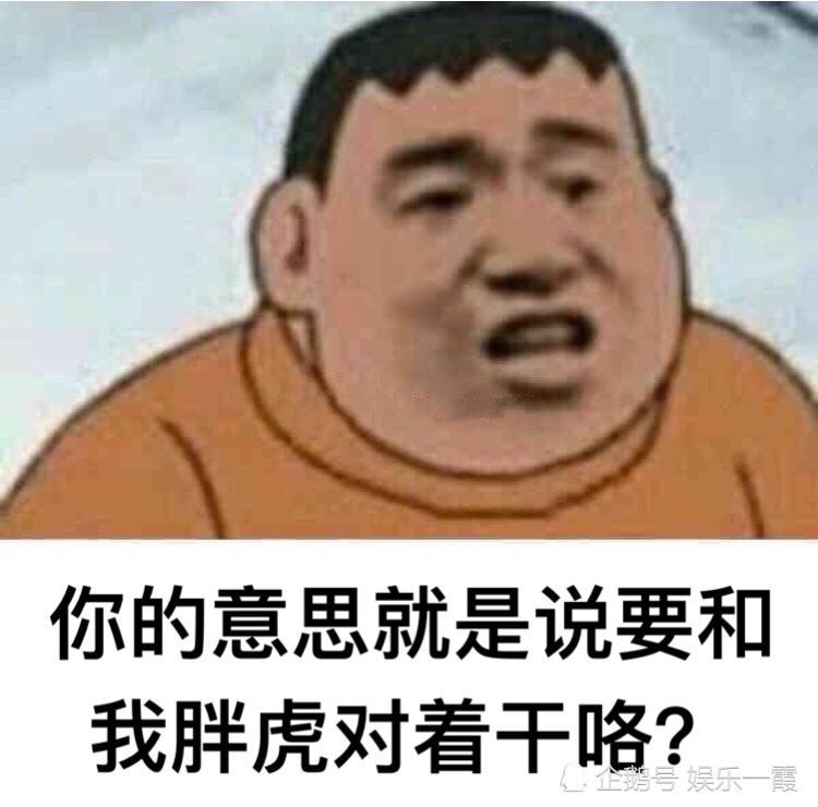 "我胖虎不是针对谁,而是针对在坐的各位",你要的表情包!