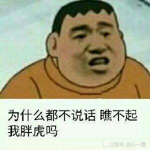 "我胖虎不是针对谁,而是针对在坐的各位",你要的表情包!