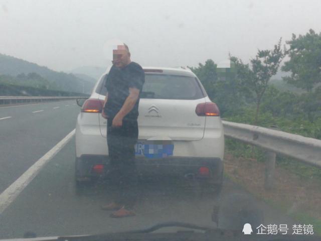 男子高速上小便被抓被劝离后挑衅逼停警车