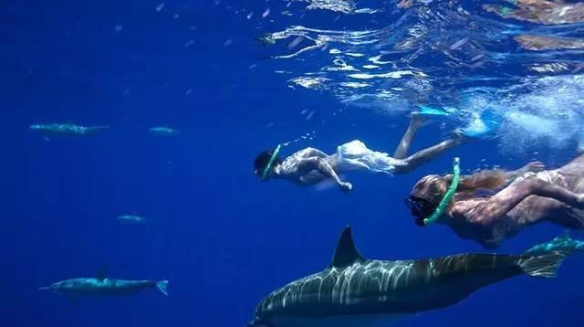 2016年下半年最新签证政策汇总