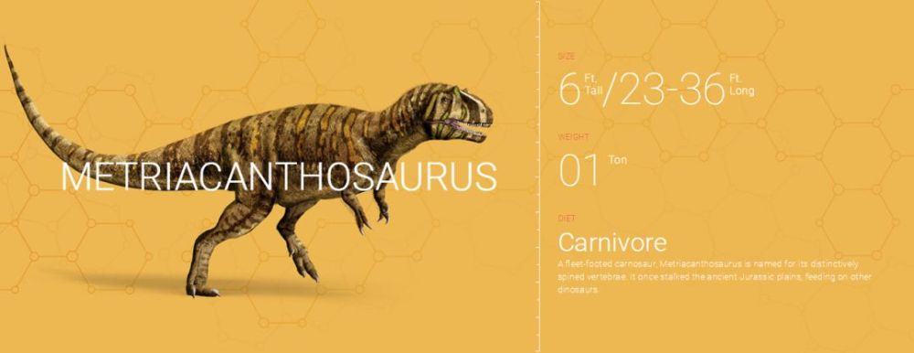 18.metriacanthosaurus  中棘龙