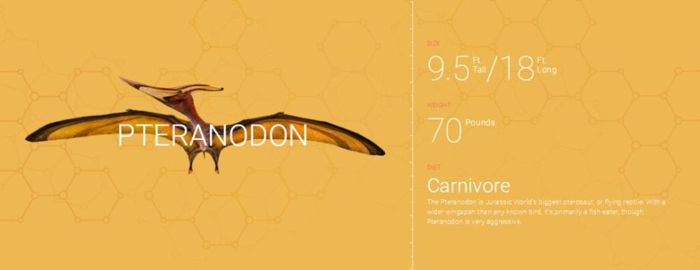 22.pteranodon  无齿翼龙