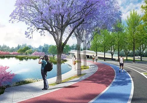 来了 龙泉喜提1750亩绿肺 公园城市 再添砝码 看点快报