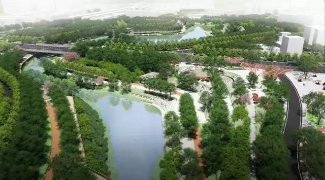 来了 龙泉喜提1750亩绿肺 公园城市 再添砝码 看点快报