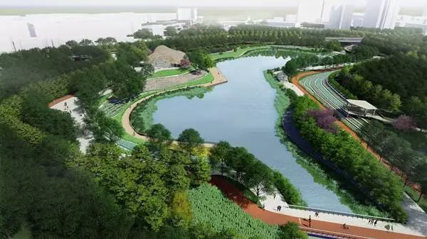 来了 龙泉喜提1750亩绿肺 公园城市 再添砝码 看点快报