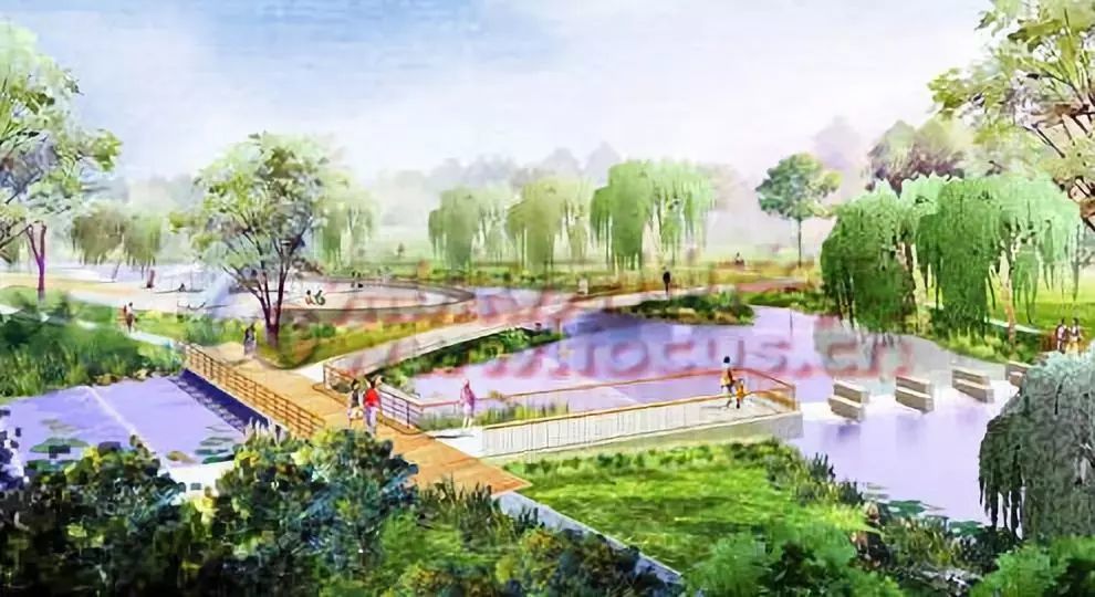 来了 龙泉喜提1750亩绿肺 公园城市 再添砝码 看点快报