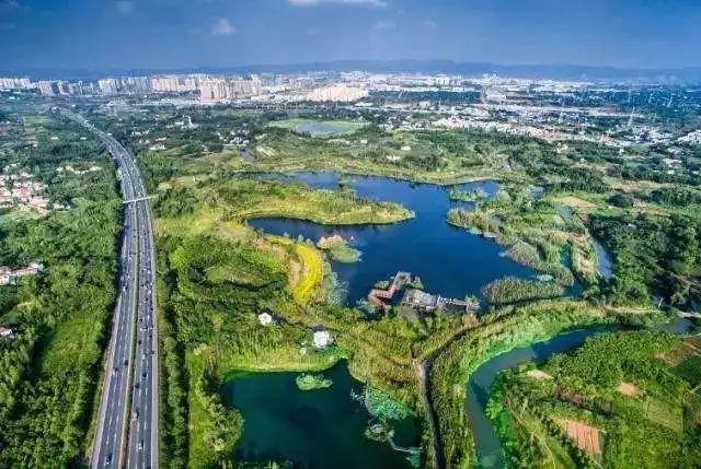 来了 龙泉喜提1750亩绿肺 公园城市 再添砝码 看点快报
