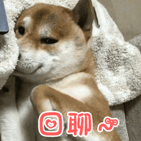 我收集了那么多表情包,都不如你可爱