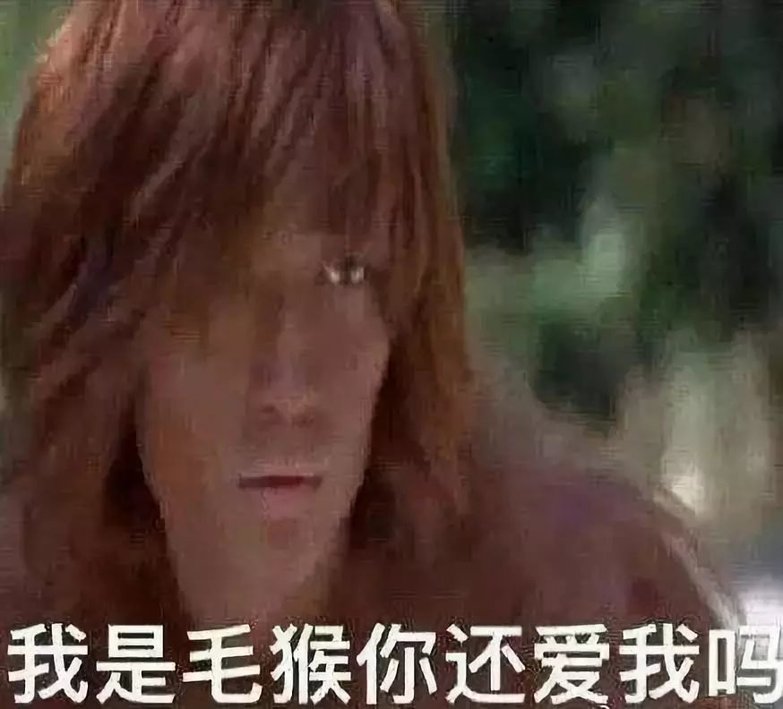 镇魂女孩:粉丝中的魔鬼,表情包中的挖掘机