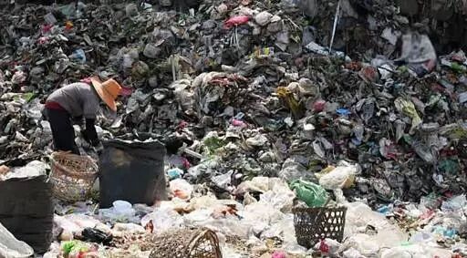 她用恶心的细菌种出了衣服,这个美女要逆天!