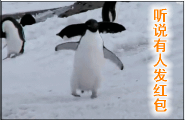 370_240 gif 动态图 动图