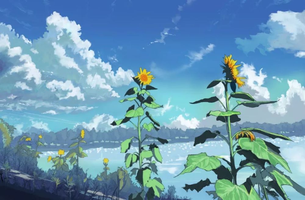 从东京到上海,新海诚第一次手稿大展即将抵达
