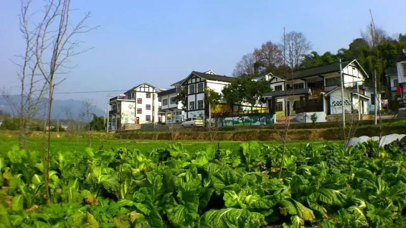最美黔北乡镇宣传推介:赤水长沙镇戈千崖景区,感受最原始的美丽