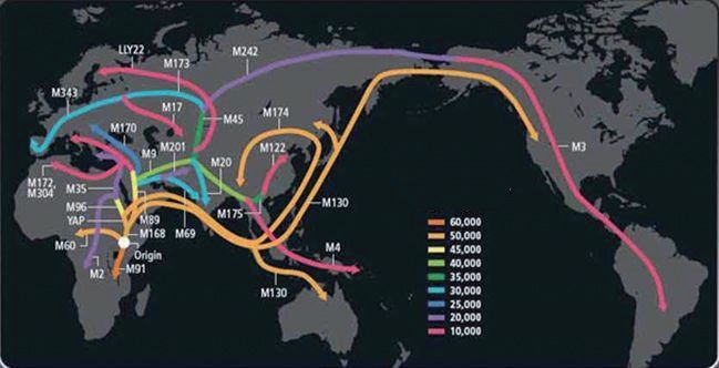 中国人的祖先究竟是谁?从基因看不是北京猿人